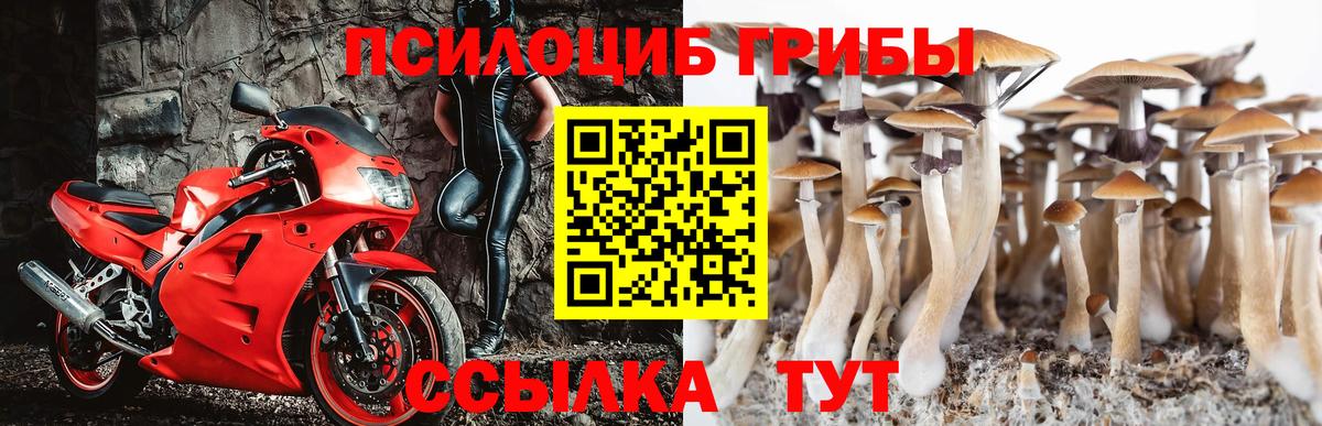 Псилоцибиновые грибы Magic Shrooms Серпухов