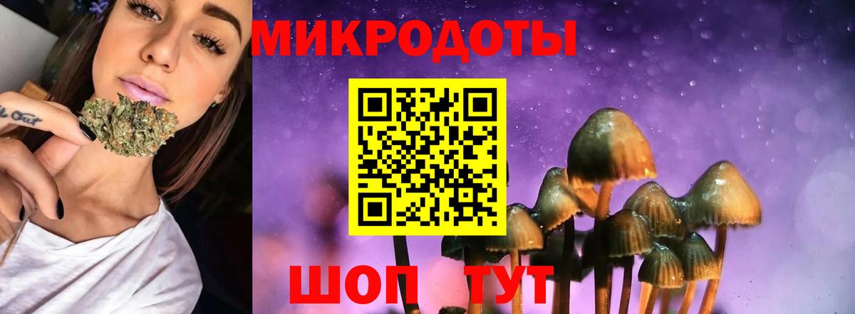 хочу   Галлюциногенные грибы Psilocybine cubensis  Вход с VPN  Серпухов 