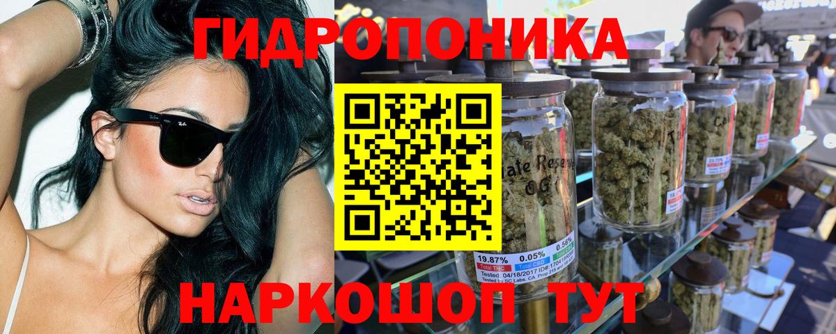 Бошки Шишки планчик Серпухов